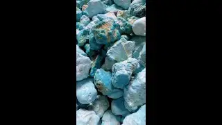 20250713-4 Turquoise Rough: Blues Blind Box Seed Buried by Earth