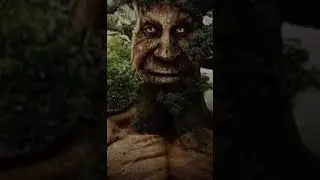 #tree #trending #memesdaily #funny #smyw