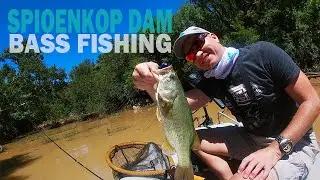 Bass fishing at Spioenkop Dam, South Africa (Feb 2021) - Dalmore Guest Farm