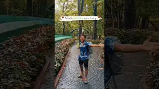 Hero tu mera Hero hai...🥵#goa#zoo#reels#shorts#photography#bondlazoo#goatravel#travel#explore#vlogs