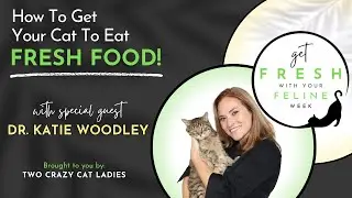 How To Get Your Cat To Eat Better with Dr. Katie Woodley | Get Fresh With Your Feline