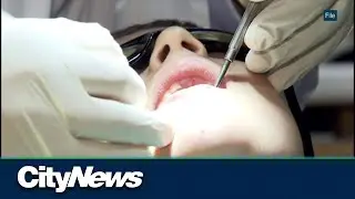 Federal minister makes stop at Calgary dental office