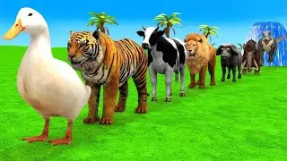 Long Slide Game With Elephant Gorilla Buffalo Hippopotamus Tiger 3d Animal Game Funny 3d Animals