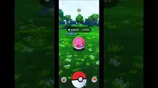 Catching Voltorb ⭐⭐ in Pokemon GO | Indonesia Gameplay | #Shorts #PokemonGO #PokeGOWorthy