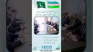 PM Shehbaz Sharif Meets Uzbek President on ECO Summit Sidelines