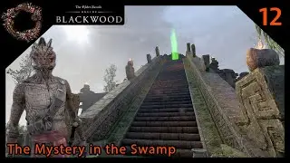 ⛩️ The Mystery in the Swamp | P12 | ESO: Blackwood Zone Story