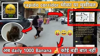 Rapido Captain Corridor मोका या मुसीबत 🤔😵 Rapido Captain Job Full Explained daily 1000 🐐