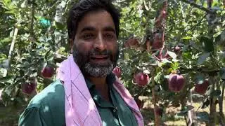 &ldquo;Apple Orchard Tour &ndash; Gala Z1 & SS2 Varieties | Graft Sticks Available&rdquo;