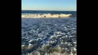 Body Surfing - Boogie Board - How To