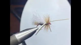 Patriot Skunk