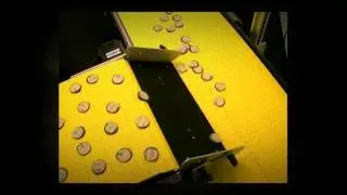 Transfer Conveyor System with Chute Accessory