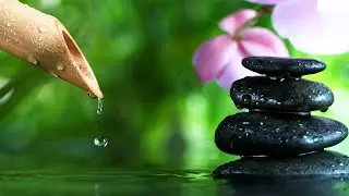 Best Relaxing Music to Help You De-Stress  | Healing Music Tuneone