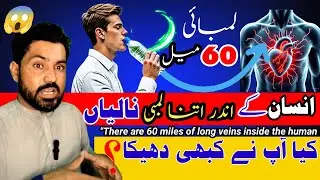 60,000 Miles of Veins Inside Your Body | Hidden Secrets of Human Body & Quran