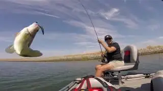 Finesse and Shallow Cranking the Delta
