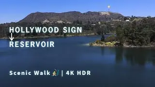 From Hollywood Sign to Hollywood Reservoir: A Scenic LA Walk #hollywoodsign #scenichike #explorela
