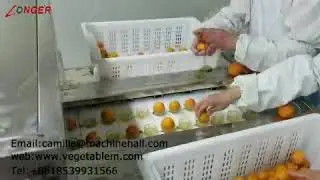 Commercial Apricot Cutting and Pitting|Plum Stone Remover|Cherry Pitter Machine