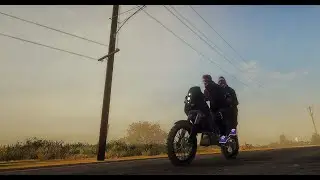 𝓓𝓪𝓻𝓴𝓠 𝔁 𝓘𝓷𝓿𝓪𝓼𝓲𝓸𝓷 𝔃𝓸𝓶𝓫𝓲𝓮 🧟💜