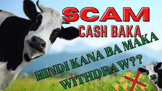 CASH BAKA SCAM REVIEW / CASH BAKA MAG INGAT SA INVESTMENT NATO /