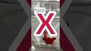 swimming on your period- with or without a tampon- is totally ok ❤️#periodtok #puberty #firstperiod