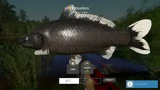 Russian Fishing 4 - Trophy Yotsushiro Carp / Copper lakr