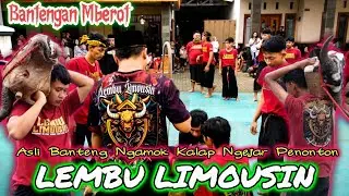 BANTENG NGAMOK ‼️ LEMBU LIMOUSIN ASLI BANTENG NGAMOK KALAP NGEJAR PENONTON LIVE in BORO BAMBAN PAKIS