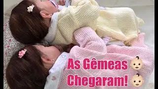 CHEGADA DAS MINHAS BEBÊS REBORNS GÊMEAS