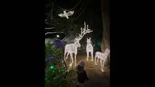 Christmas Lights 2022 |  Burnaby Village Museum🎄🇨🇦