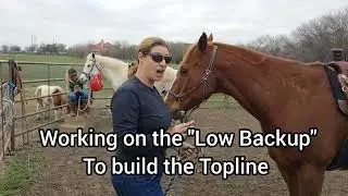 Learning the 