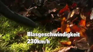 Worx WG568E 40V Akku Laubbl&auml;ser
