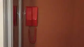 1983 BT Contempra Rotary Telephone: Wall Mounded