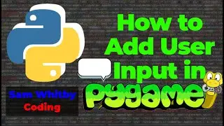 How to Add User Input: Pygame Text Box Step-by-Step Guide