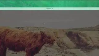 2 Descargando el sitio web est&aacute;tico