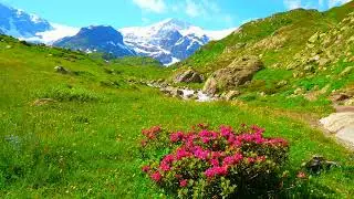 Soothing Alpine Scenic Soundscape - Relax and Unwind with the Calming Sounds of Nature - 4K