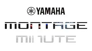 MONTAGE Minute | Firmware Update OS Version  1.60