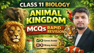 ANIMAL KINGDOM//ONE SHOT//MOST IMPORTANT QUESTIONS//CLASS 11// BIOLOGY 