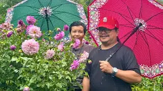 CANCER SURVIVOR KINONVERT ang TRADITIONAL GULAYAN into SUPER GANDANG ORGANIC FLOWER GARDEN!