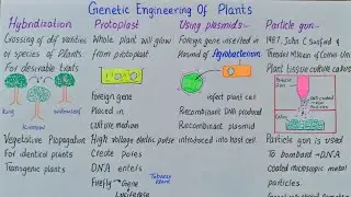 Genetic engineering of plants | class 12