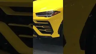 Tiny (T.I. Wife) Lamb Truck Detail