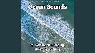 Wave Sounds to Chill