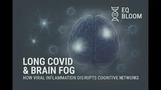 Long COVID & Brain Fog: How Viral Inflammation Disrupts Cognitive Networks | EQBloom