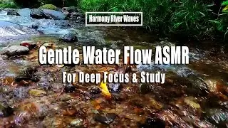Gentle Water Flow ASMR for Deep Focus & Study