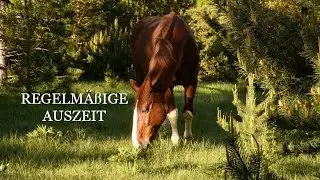 Regelm&auml;&szlig;ige Auszeit