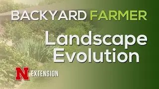 Landscape Evolution