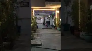 Cute Pupper Doggo Aradhye Axat #shorts #puppy #axat #6hourism #viral #subscribe #puppy #dog #doggo