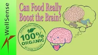 Top Brain Healing Foods