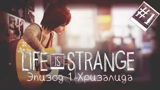 Life is Strange Episode 1 - Chrysalis #1● Понедельник-День тяжелый