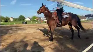 LK5A Ranch Riding Hennef 2021 with a 5-year-old Quarterhorse Mare 