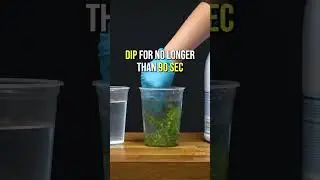 Aquascaping Pro Tip: How to PROPERLY Bleach Dip Aquarium Plants #shorts
