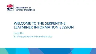 Serpentine Leafminer information session - 3 Dec 2020