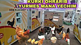 SEZONI KELAYOTKAN BIZNESLARDAN BIRI INKBATOR BIZNESI